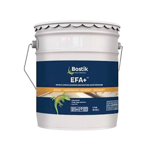 efaplus