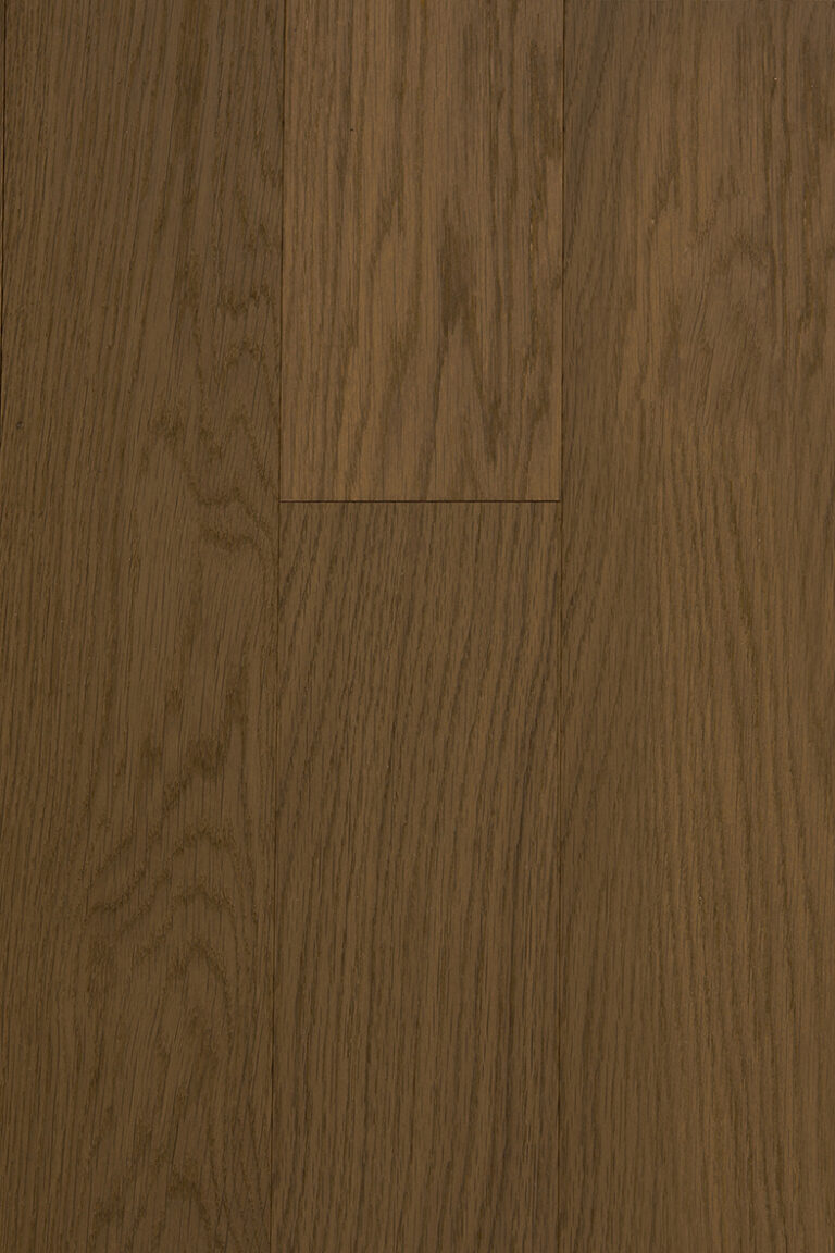 Hazelnut-1