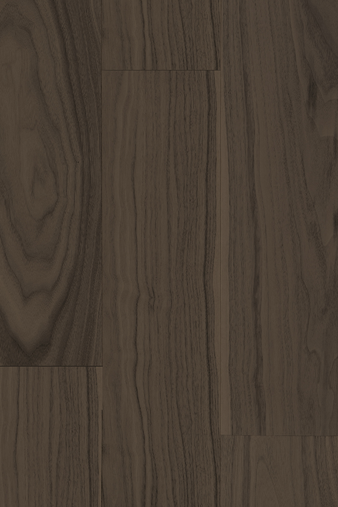 tropical-walnut-1A