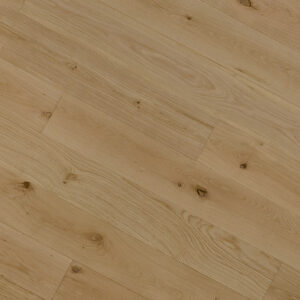 Quercia